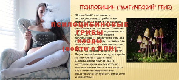 сатива Нязепетровск