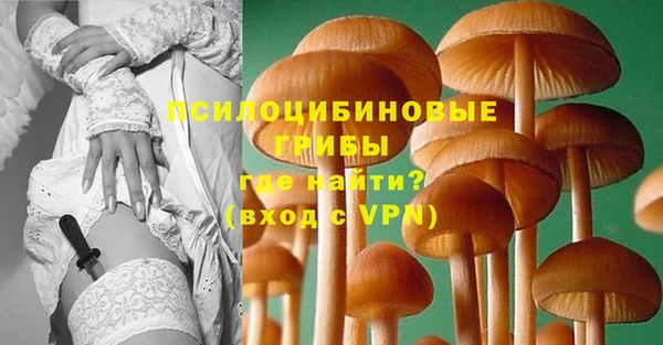 сатива Нязепетровск