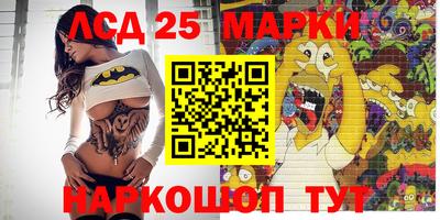 spice Коммунар