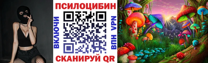 как найти закладки  Рассказово  Галлюциногенные грибы прущие грибы 