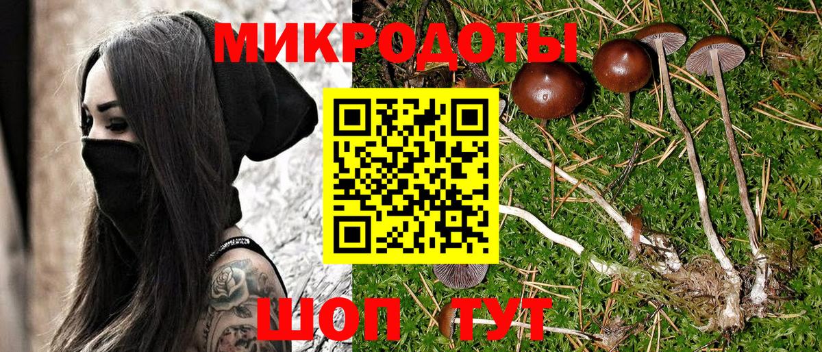 Псилоцибиновые грибы прущие грибы  Вход с VPN  Рассказово 