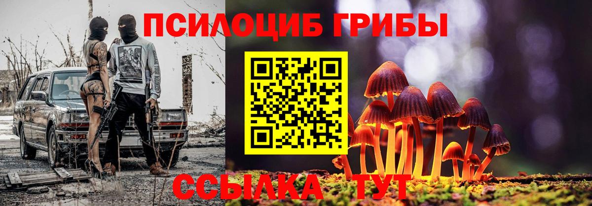 Галлюциногенные грибы Cubensis Рассказово