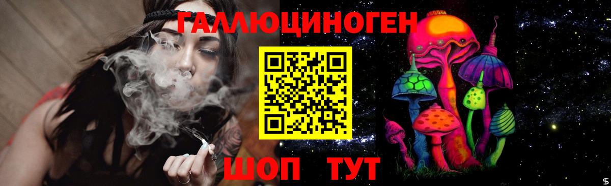 хочу наркоту  Рассказово  Галлюциногенные грибы мухоморы 